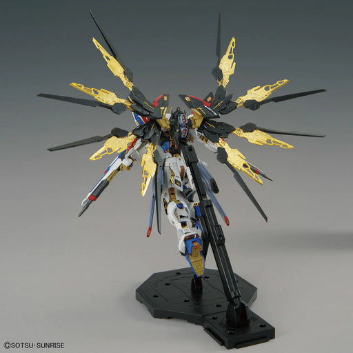 MGEX 1/100 Strike Freedom