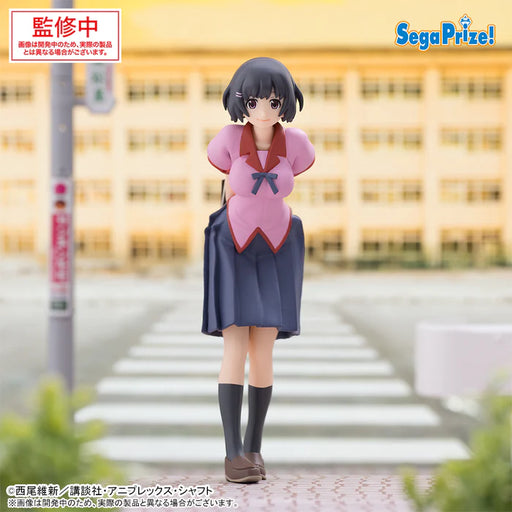 [Pre-order] Monogatari Series - Hanekawa Tsubasa - PM